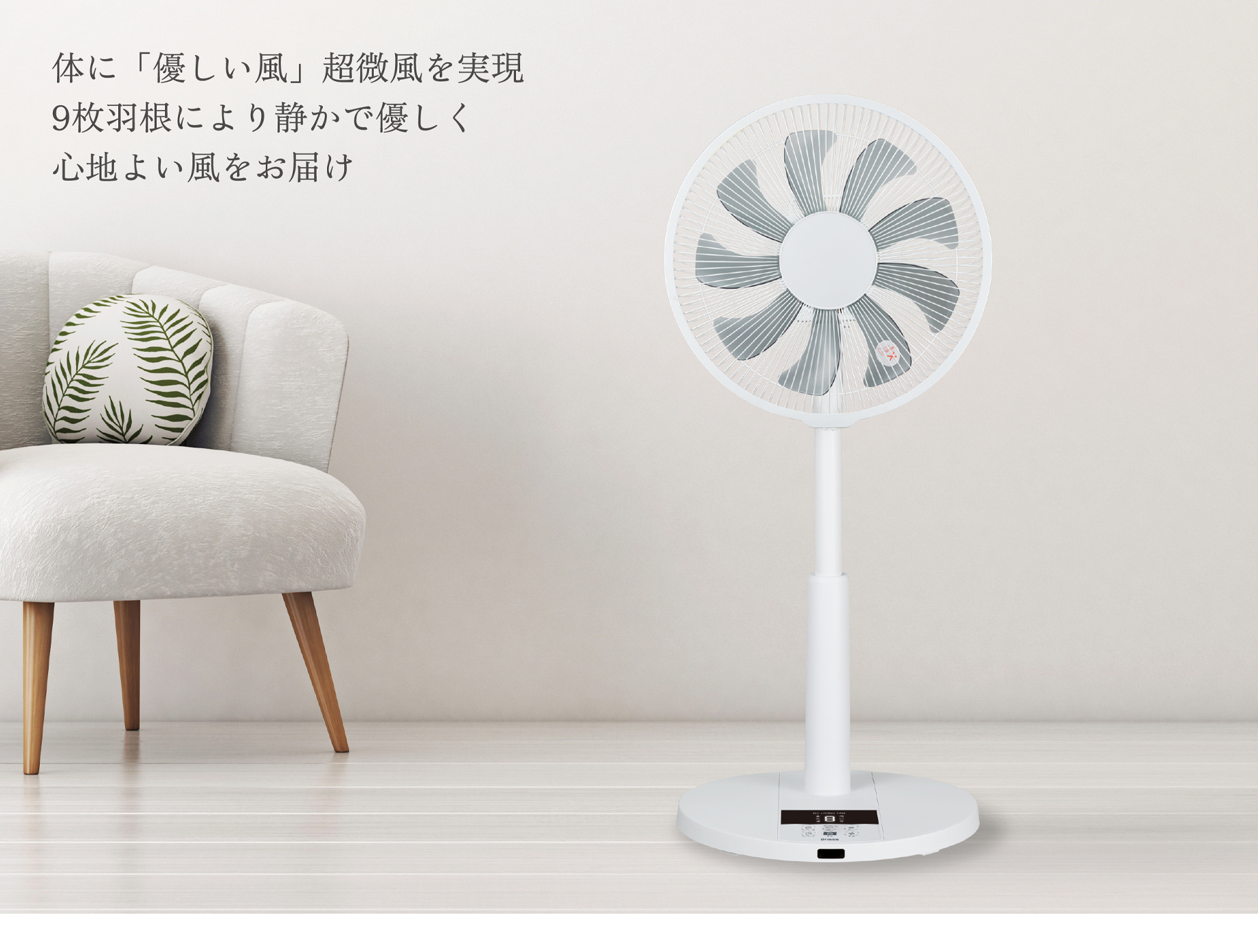 BDFD313WH